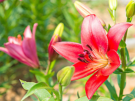 PGAPP下载产品展示一